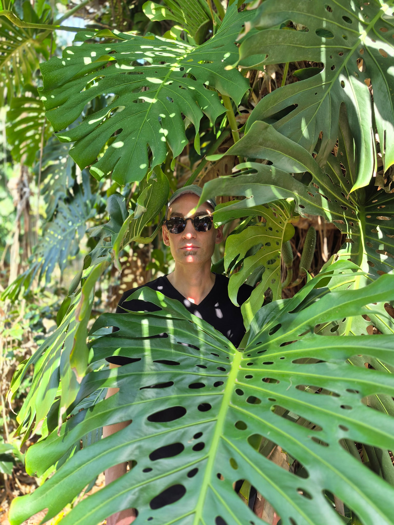 Robert Aiosa standing amid several palm fronds