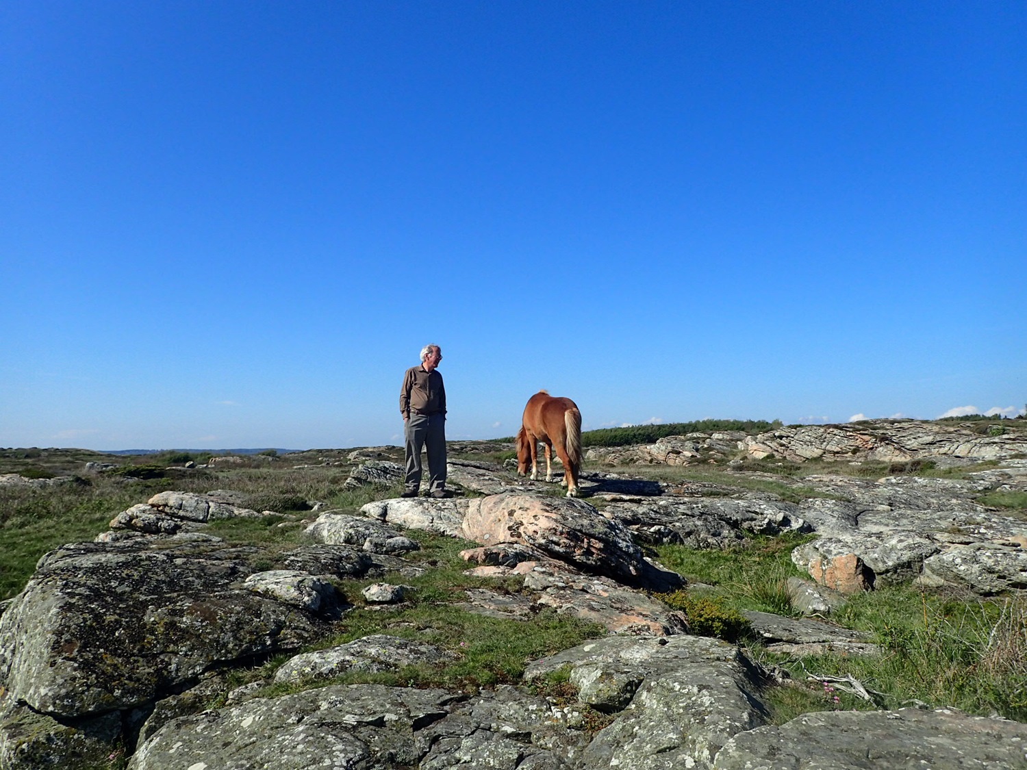 Hansen in Sweden